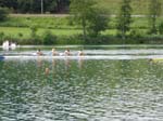 Rotsee2005 020