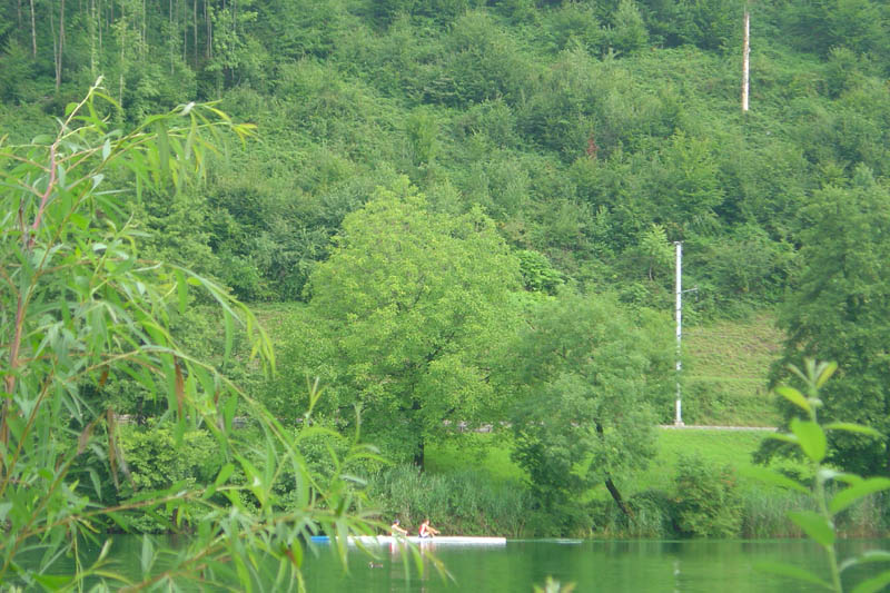 DSC00623