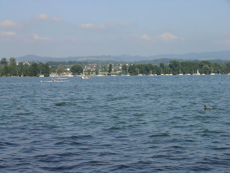 DSC00220