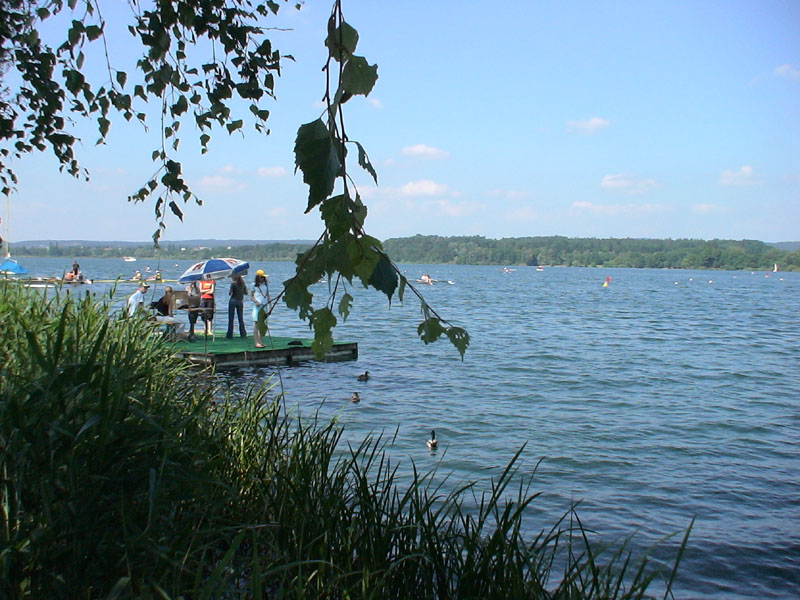 DSC00230