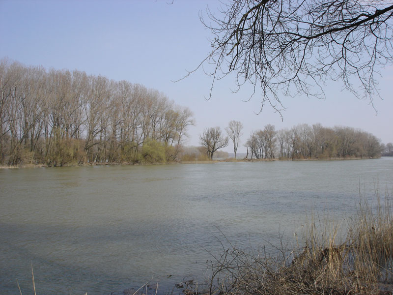 DSC00721