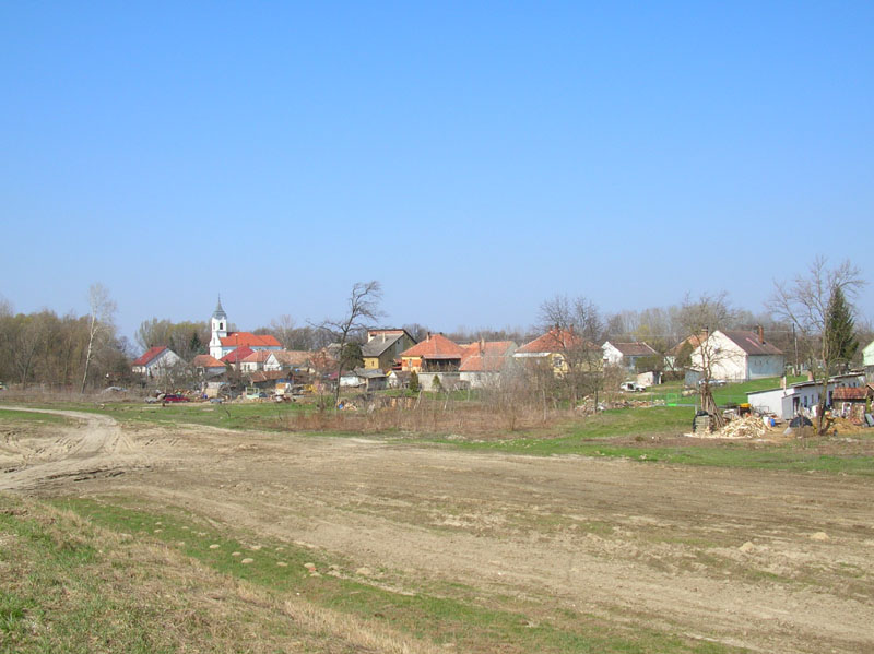 DSCN0252