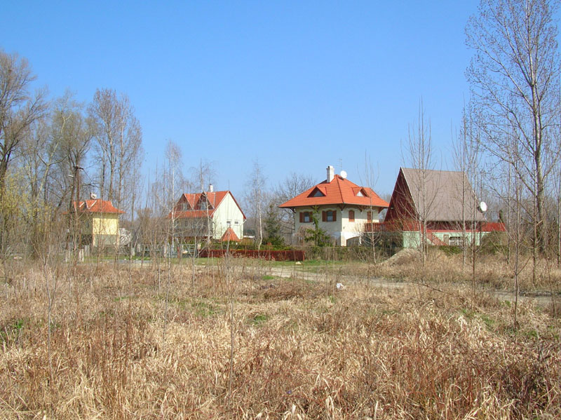 DSCN0255