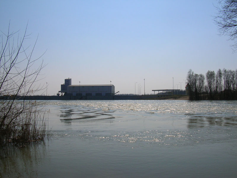 DSCN0256