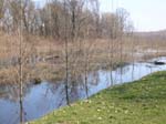 DSCN0243