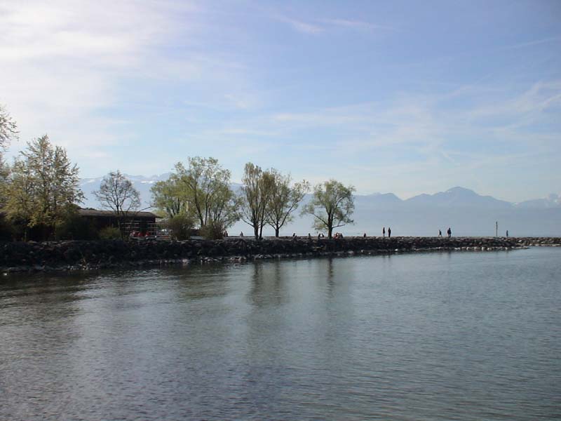 DSC00044