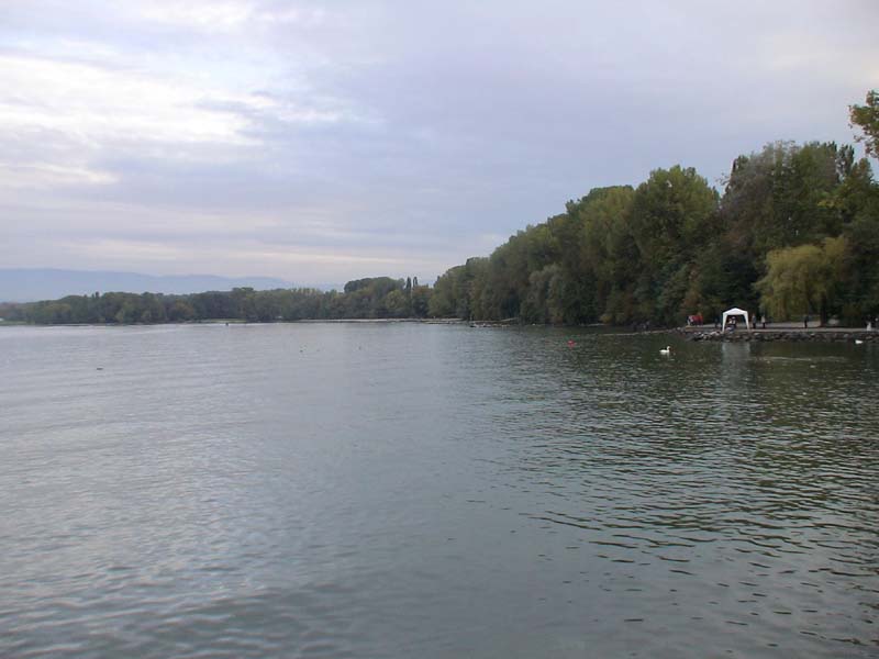 DSC00459