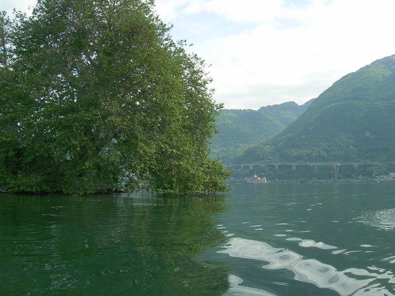 DSCN1773