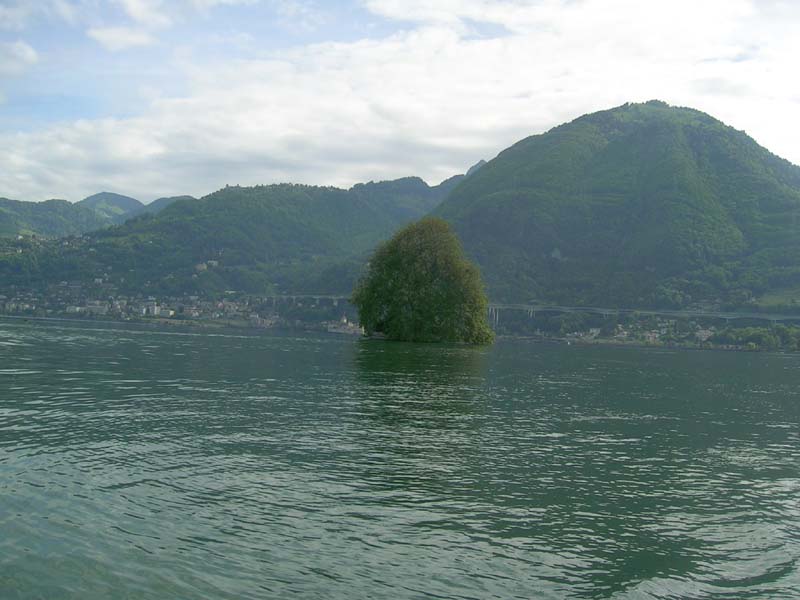 DSCN1775