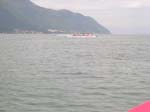 DSCN1778