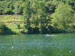 Rotsee2006 058