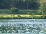 Rotsee2006 070