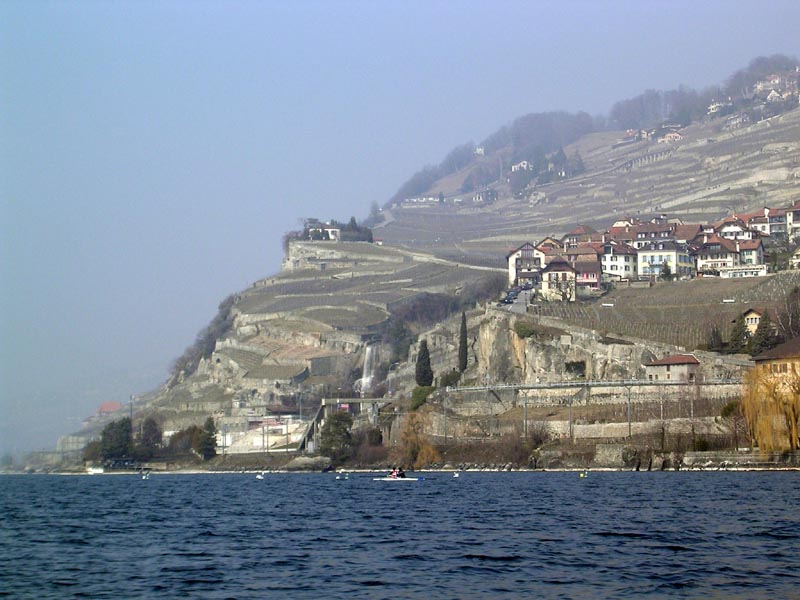 DSCN5716