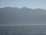 IMG_0367
