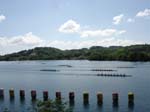 Aiguebelette 2007 036
