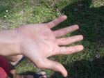 Belley 2007 187