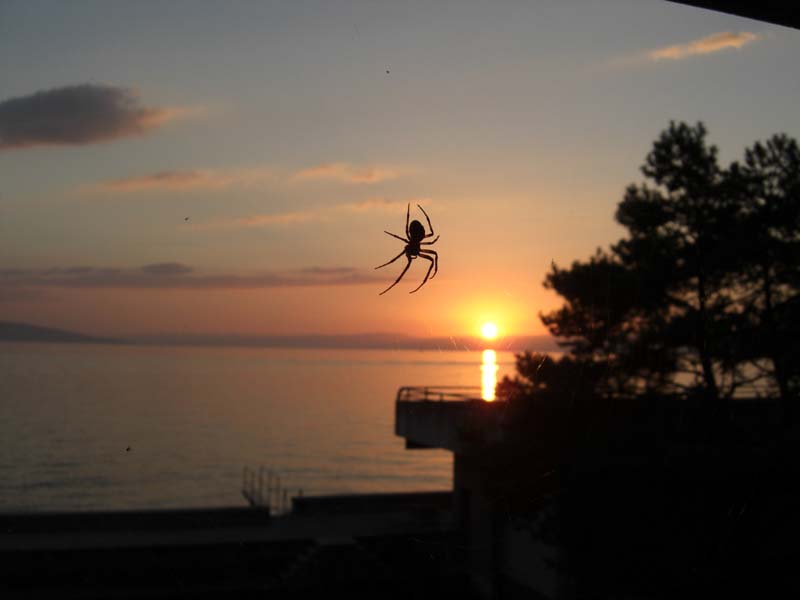 Estavayer 2007 104