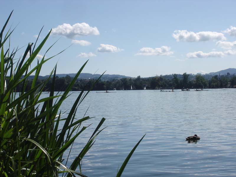 Greifensee 2007 052