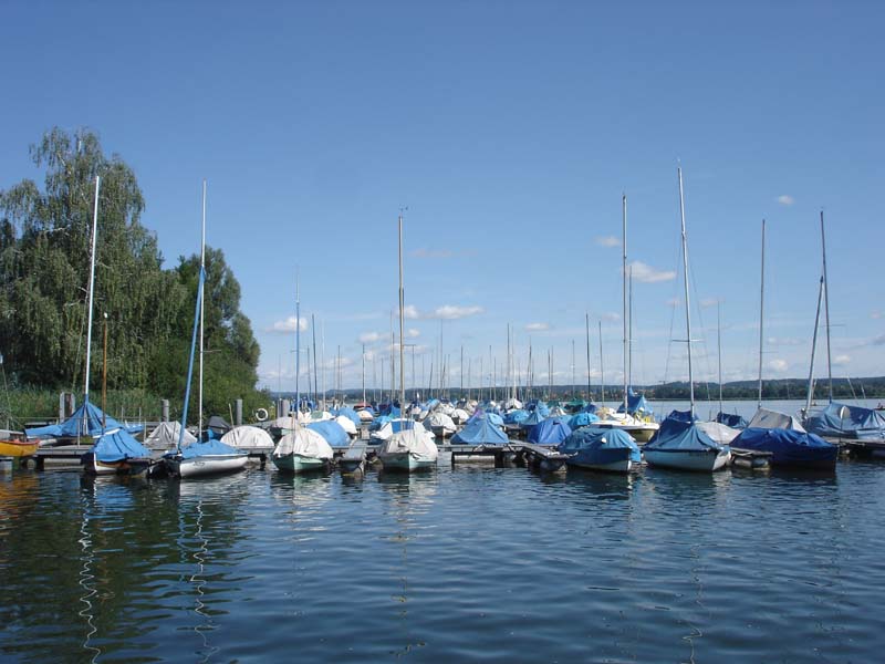 Greifensee 2007 053