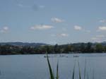 Greifensee 2007 078