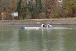 Mulhouse novembre 2007 040