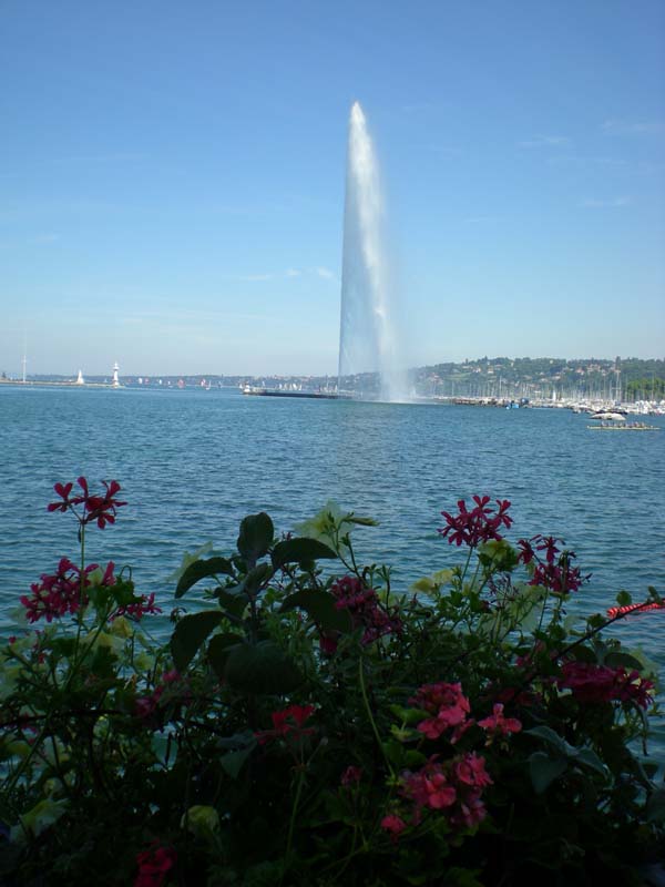Ginevra_8+_006