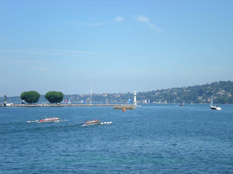 Ginevra_8+_008