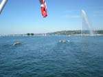 Ginevra_8+_024