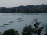 Aiguebelette 2008 068