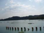 Aiguebelette 2008 087