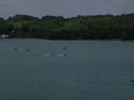 Aiguebelette 2008 136