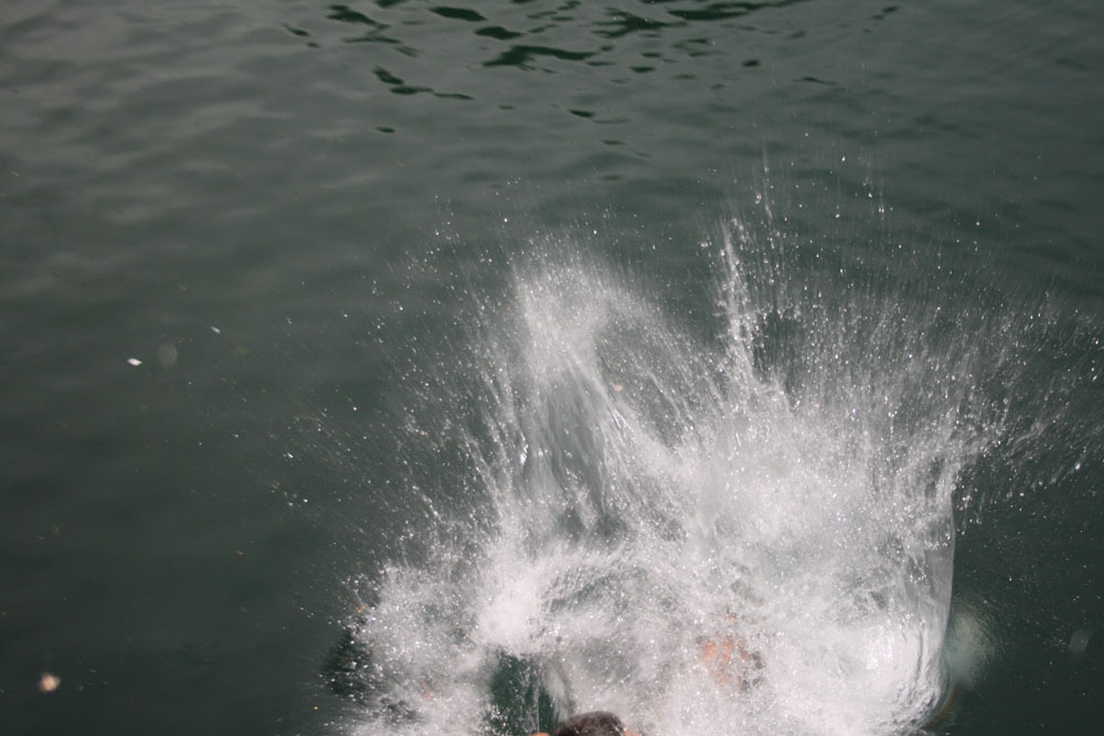 Rotsee 2008 192