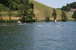 Rotsee 2008 036