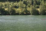 Rotsee 2008 081