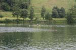 Rotsee 2008 143