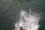 Rotsee 2008 192