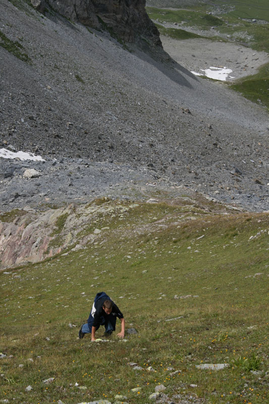 Dents du Midi CAV 015