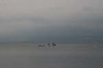 Estavayer 2008 187
