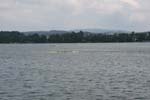 Greifensee 016