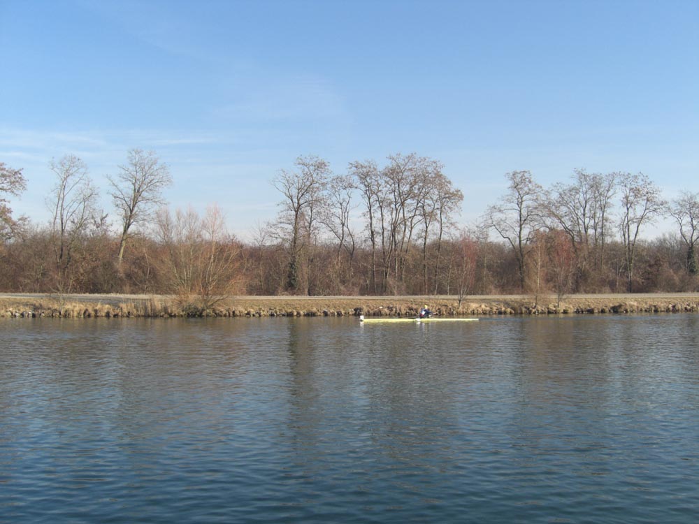 Mulhouse fév 2008 016