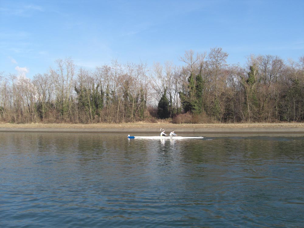 Mulhouse fév 2008 040