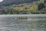 Sarnen 167