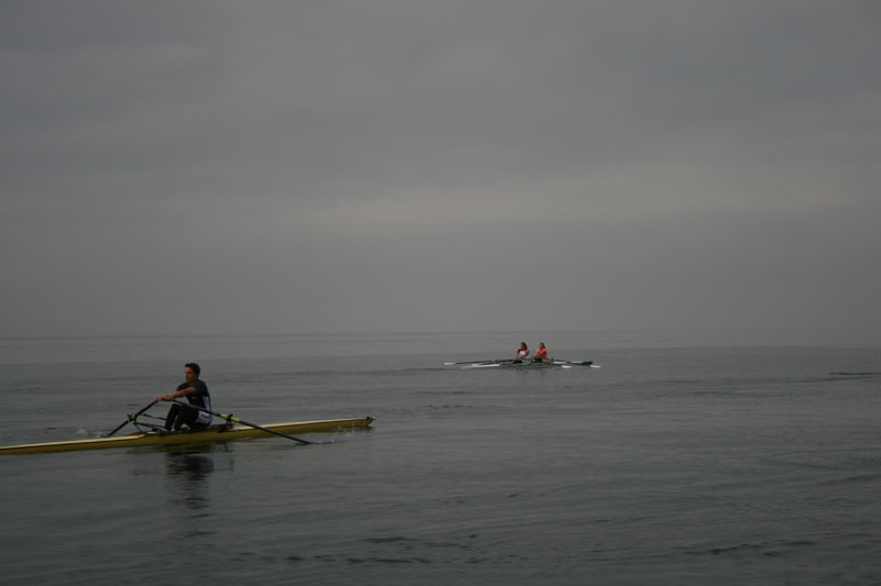 Cox2 008