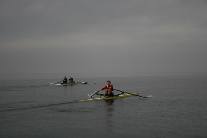 Cox2 009