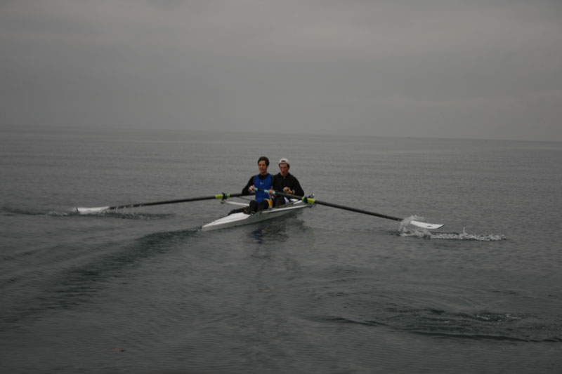 Cox2 011