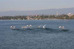 IMG_8402