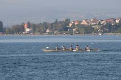 IMG_8403
