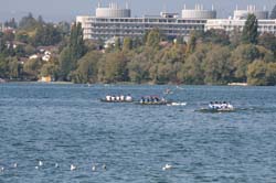 IMG_8444