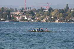 IMG_8445