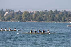 IMG_8448